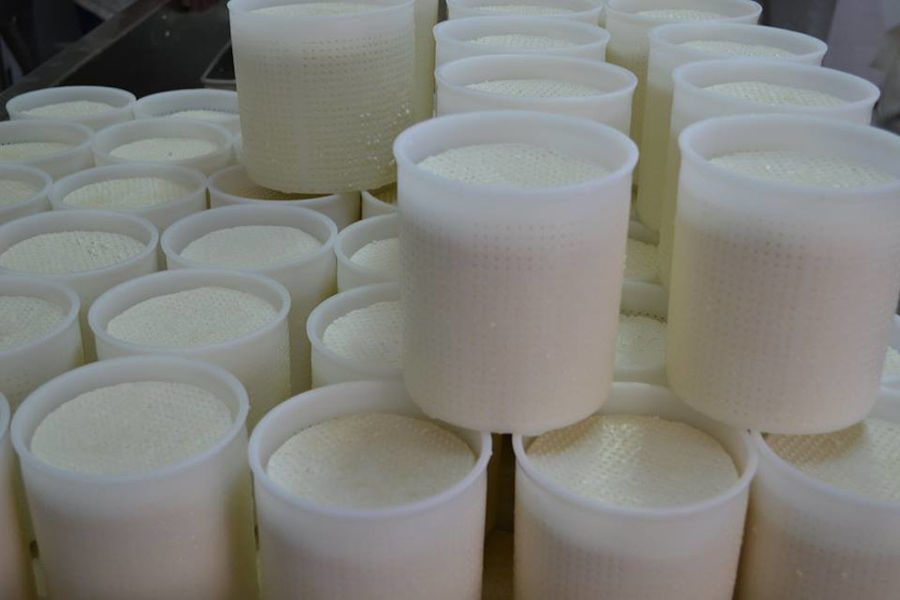view up close of plastic boxes with fresh white cheeses at 'Vasilas Dairy' plant